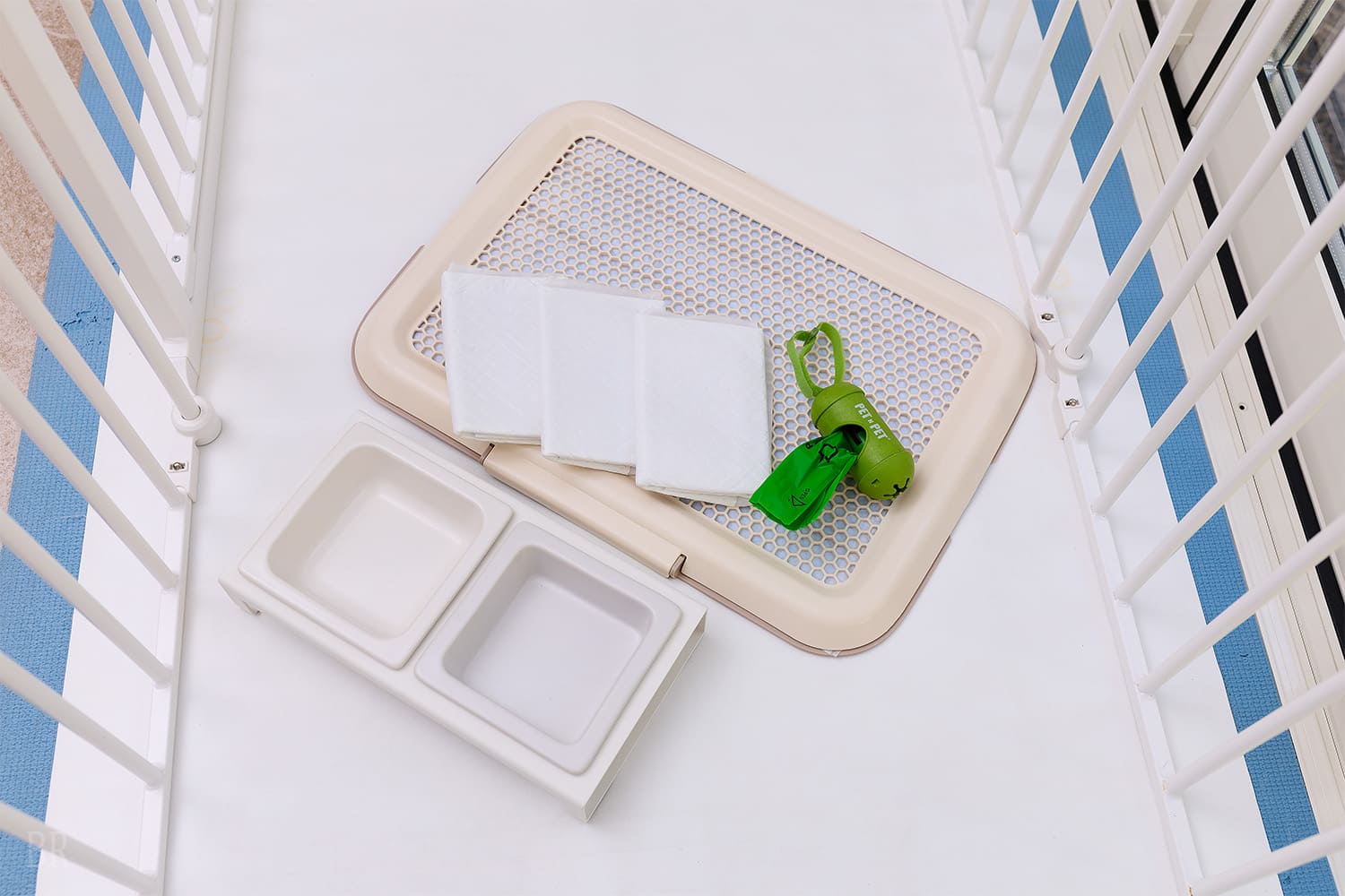 1日1室限定、愛犬と泊まれるお部屋